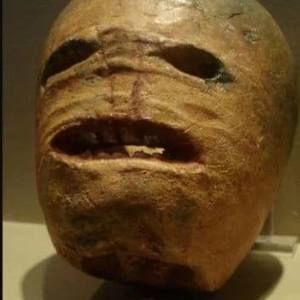 Meet your Posher, Camille